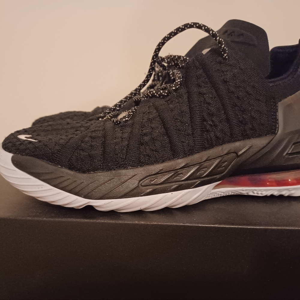 Nike LeBron James Basketball Shoes